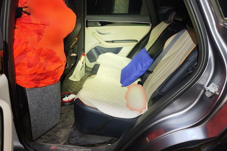 Used BYD Song PLUS New Energy 2021 DM-i 110KM Flagship PLUS Left Rear Seat