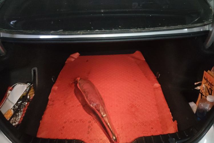 Used BMW 5 Series 2014 525Li Luxury Design Package