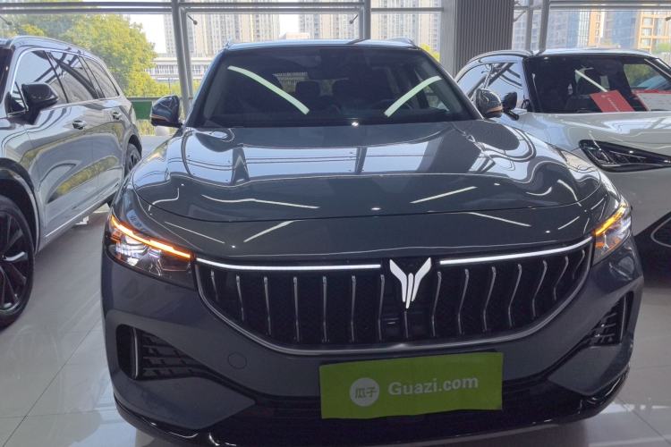 Used VOYAH FREE 2021 Four-Wheel Drive Standard Range-Extended Exclusive Luxury Package
