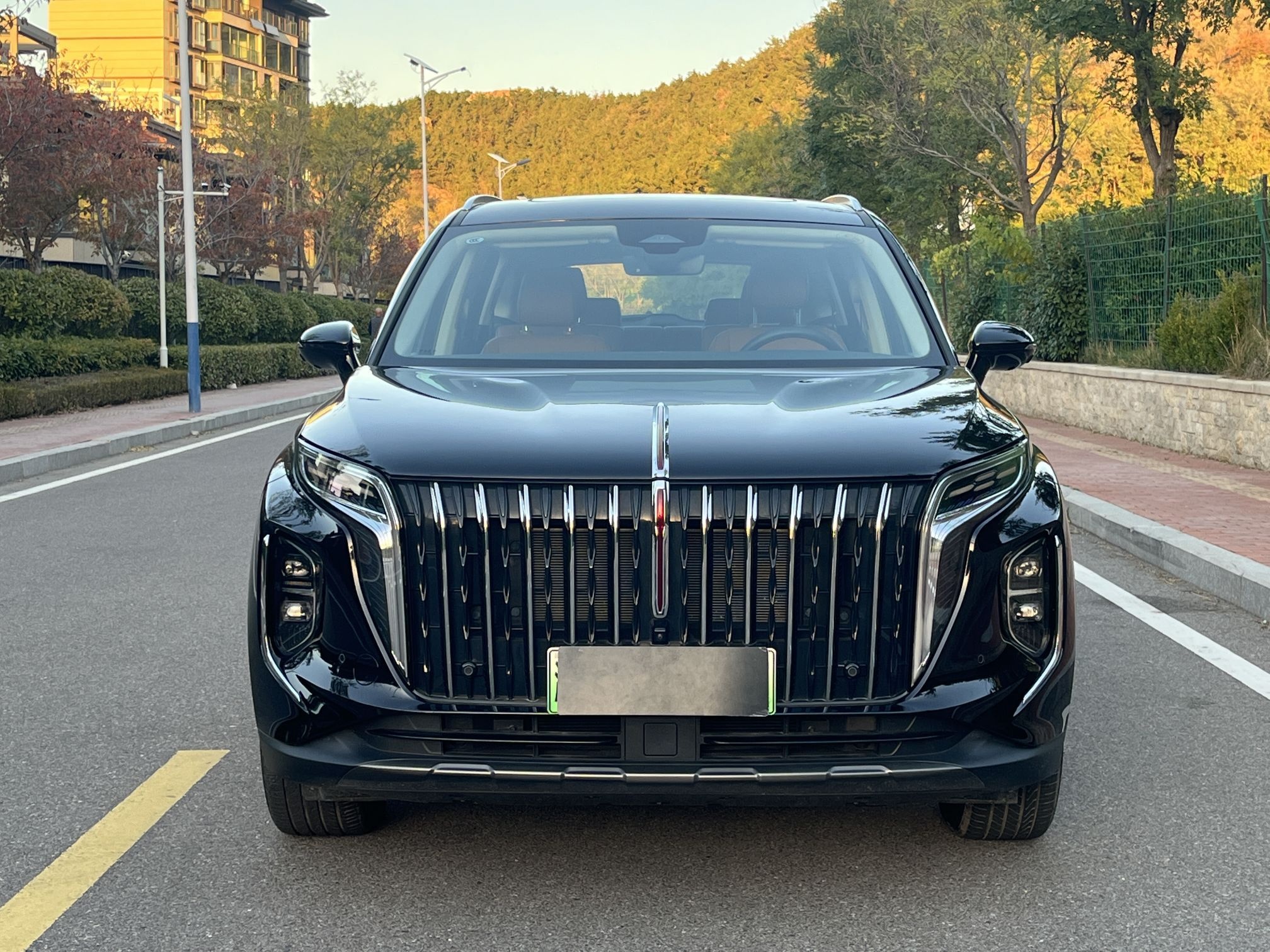 Hongqi HS7 PHEV 2025 Model 2.0T PHEV Four-Wheel Drive 2 Million Units Commemorative Edition 6-Seater — снимка 12