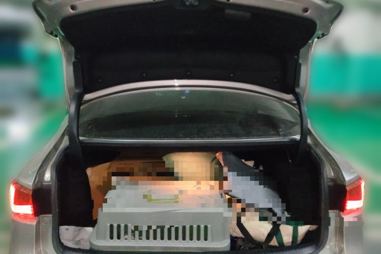 Used Lexus IS 2017 300 F SPORT Edition
