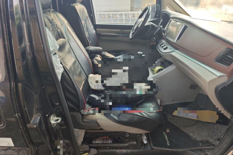 Used FORTHING Lingzhi 2019 V3 1.6L 2-Seat Standard Model China VI