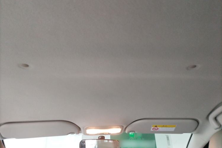 Used SOL E10X 2022 Flower Fairy Design Four-Leaf Clover
