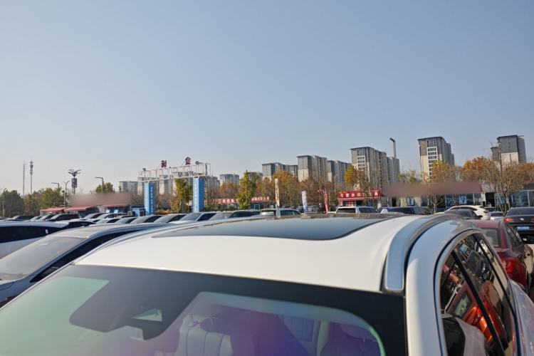 Used Wey Lanshan 2023 Four-Wheel Drive Ultra-Long Range Version
