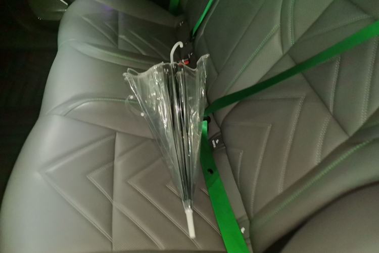 Used Zeekr 001 2023 WE Edition 100 kWh Left Rear Seat