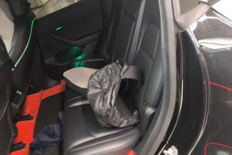 Used Tesla Model Y 2021 Standard Range Rear-Wheel Drive Version Left Rear Seat