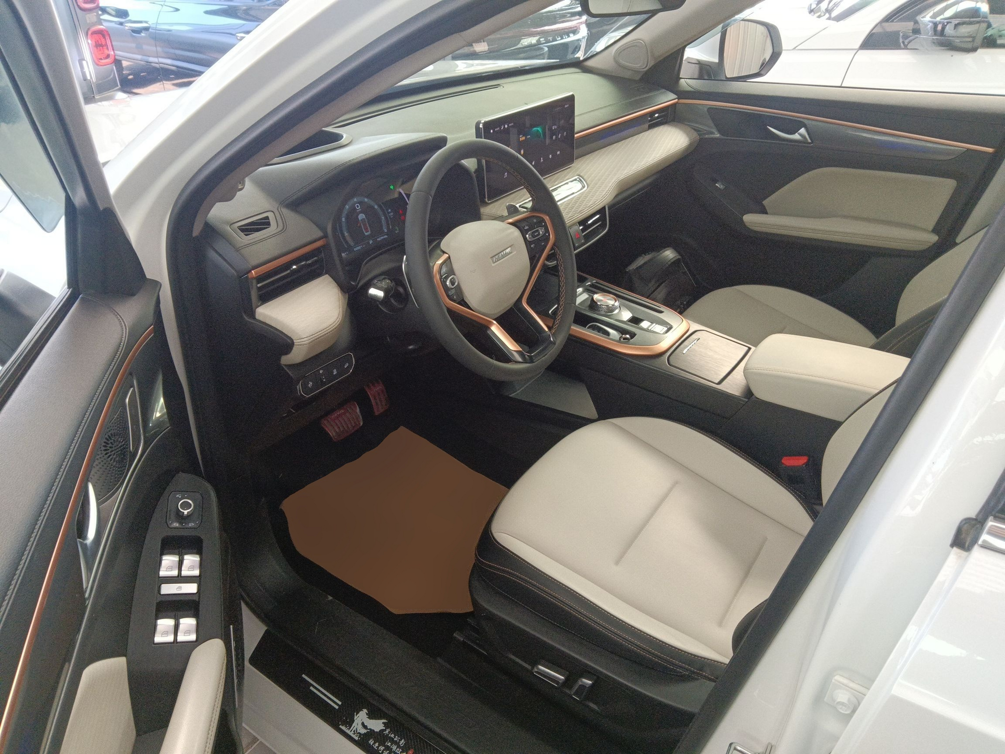 Interior delantero