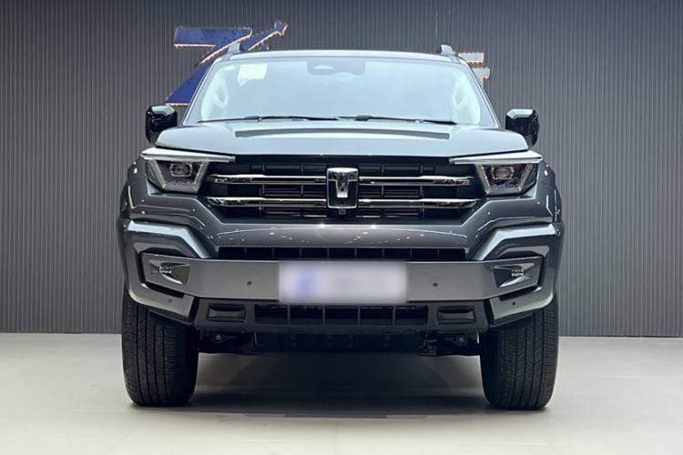 Used Tank 400 2025 2.0T Gasoline Version
