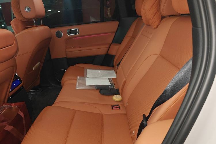 Used Li Auto L6 2024 Max Left Rear Seat