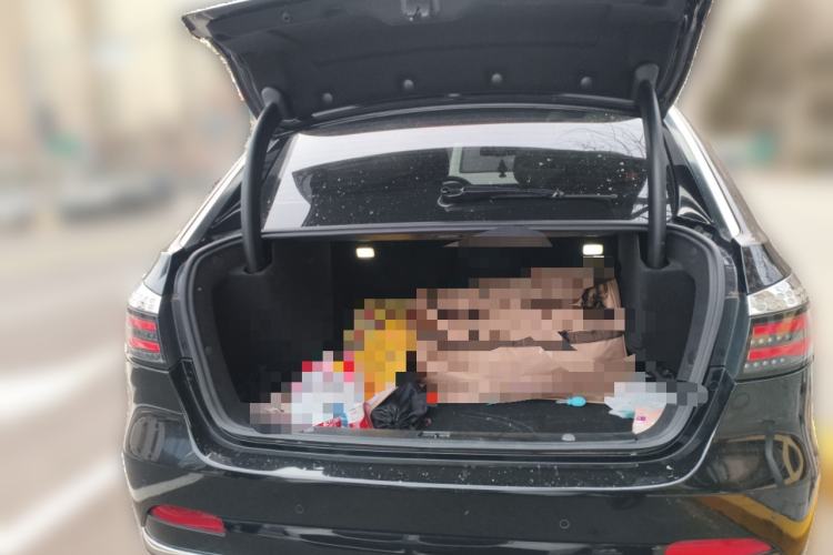 Used Denza 2017 Stylish Edition