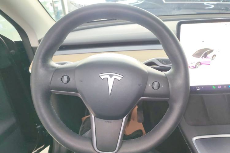 Used Tesla Model Y 2021 Standard Range Rear-Wheel Drive Version

