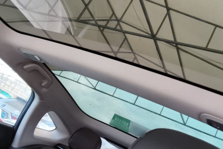 Used XPeng P7 2020 670N Headliner