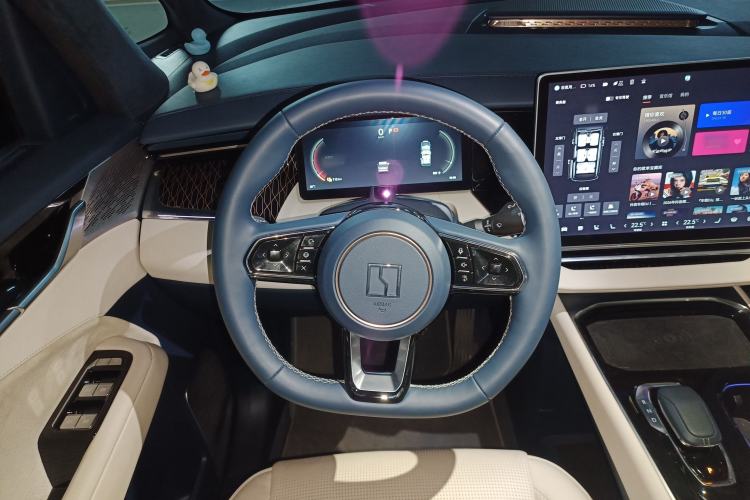 Used Zeekr 009 2022 WE Edition Steering Wheel