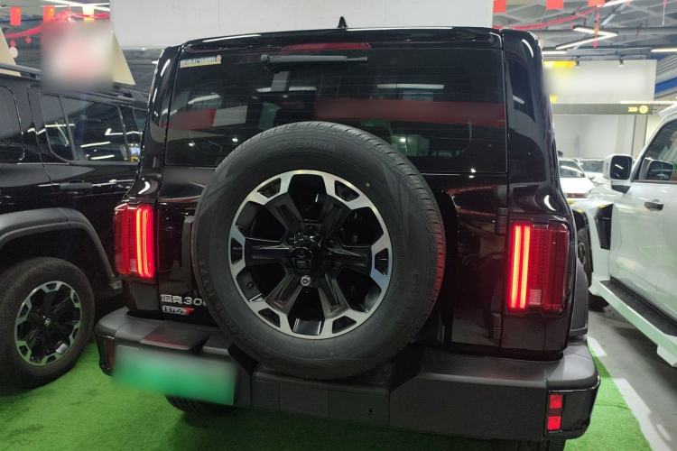 Used Tank 300 New Energy 2025 Hi4-T Rear