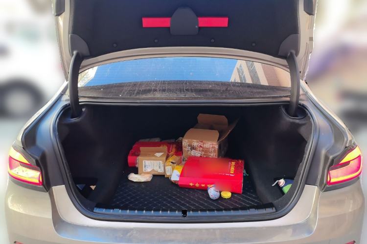 Used BMW 5 Series 2021 530Li xDrive Luxury Package
