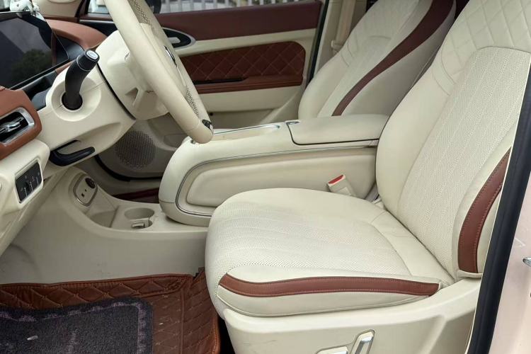 Used ORA Good Cat 2023 401 km Standard Range Premium Version Lithium Iron Phosphate
