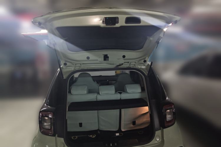 Used SOL E10X 2022 Flower Fairy Design Four-Leaf Clover