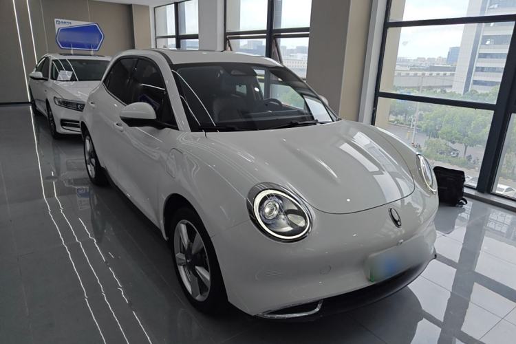 Used ORA Good Cat 2021 400km Standard Range Venus Edition Lithium-Ion Battery
