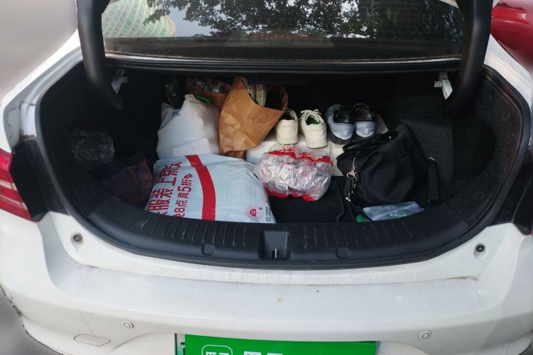 Used BYD Qin New Energy 2018 Qin EV450 Smart Connect Prestige Model
