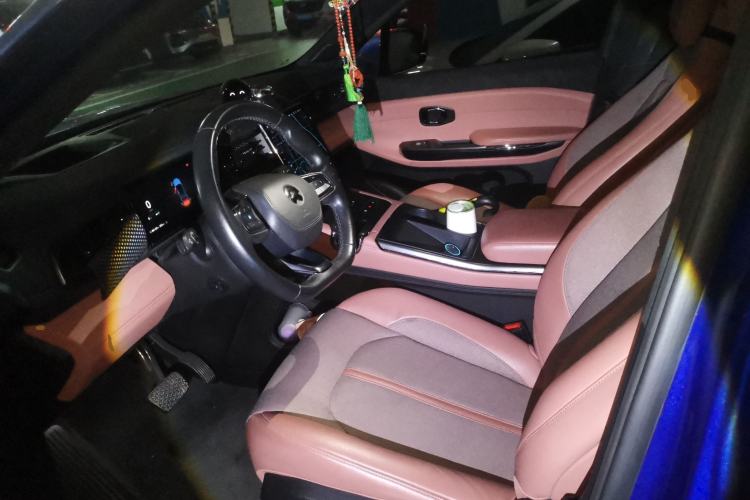 Used Nio EC6 2020 475 km Performance Version Left Front Seat