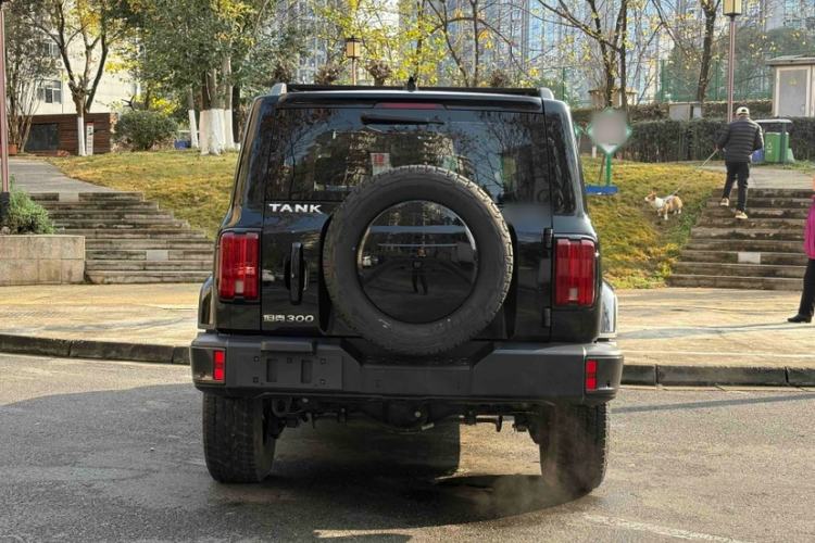 Used Tank 300 2023 City Edition 2.0T Essential Model