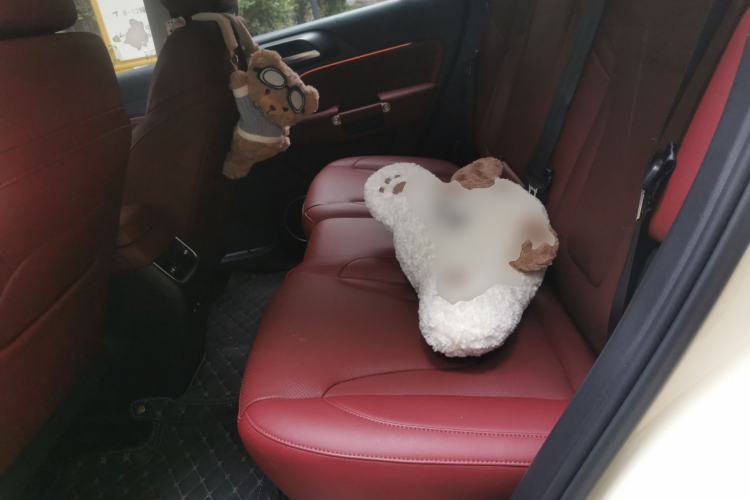 Used Tank 300 2025 2.0T Conqueror Left Rear Seat