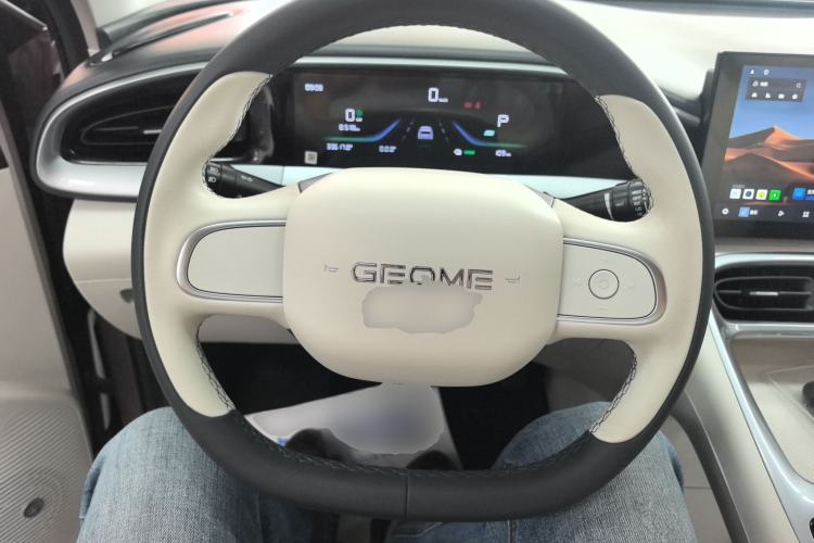 Used Geely Galaxy Geome 2025 310km Youth Edition
