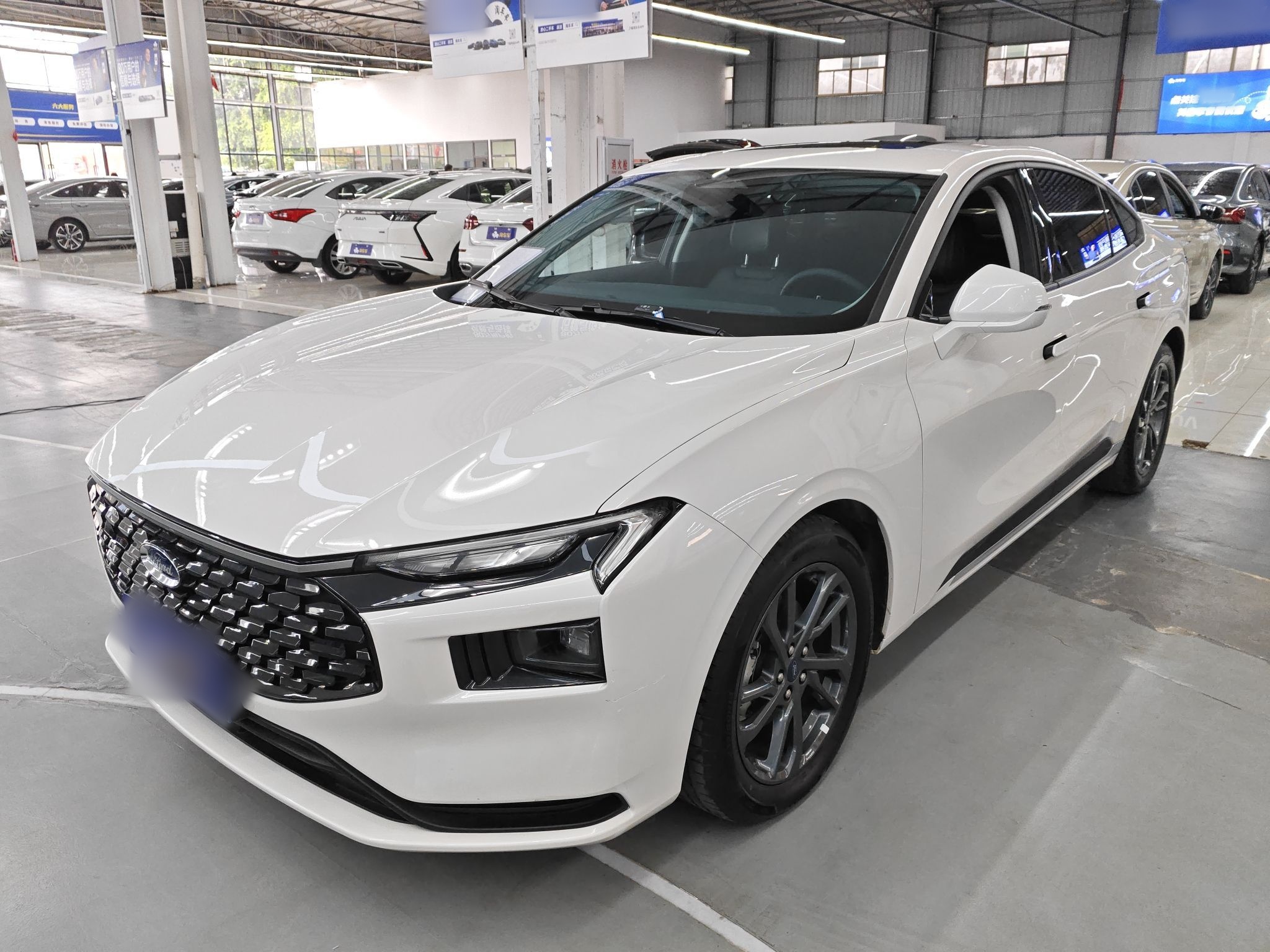 Parte inferior delantera