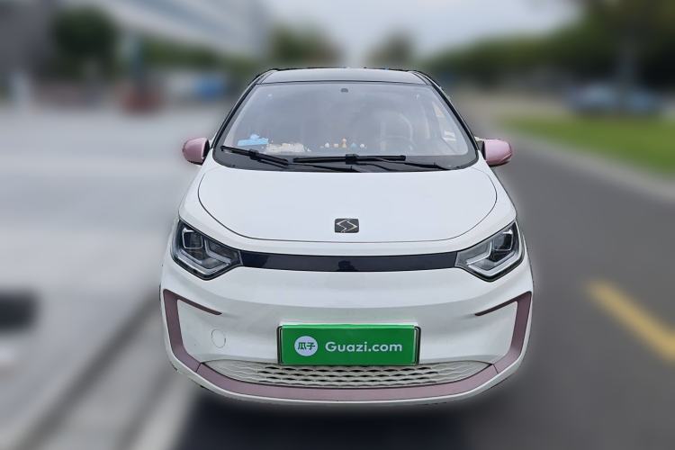 Used SOL E10X 2022 Flower Fairy Style Baby's Breath