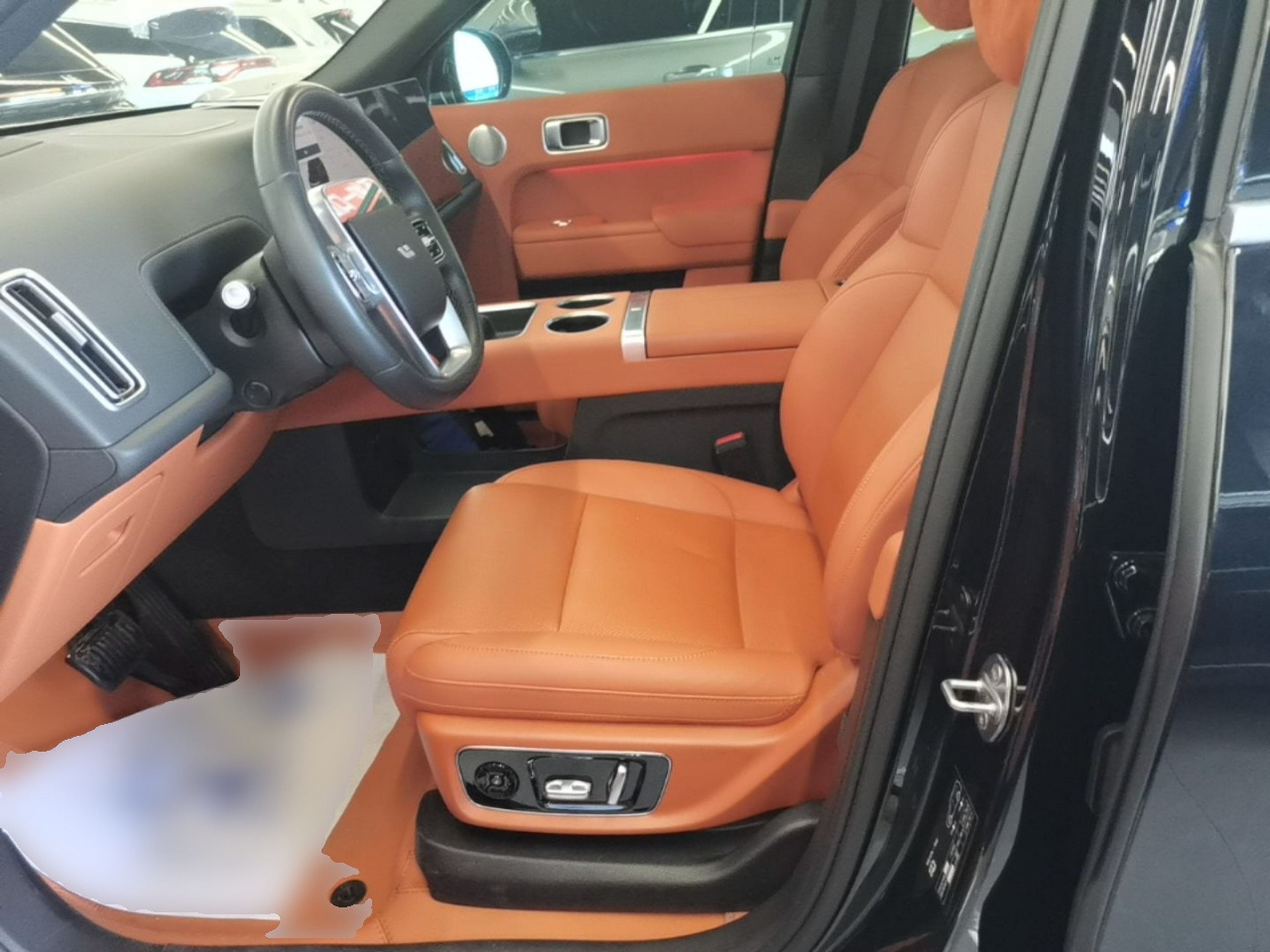 Interior delantero