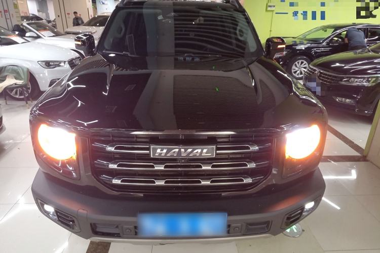 Used Haval DARGO 2022 2.0T DCT 4x4 Chinese Rural Dog Edition