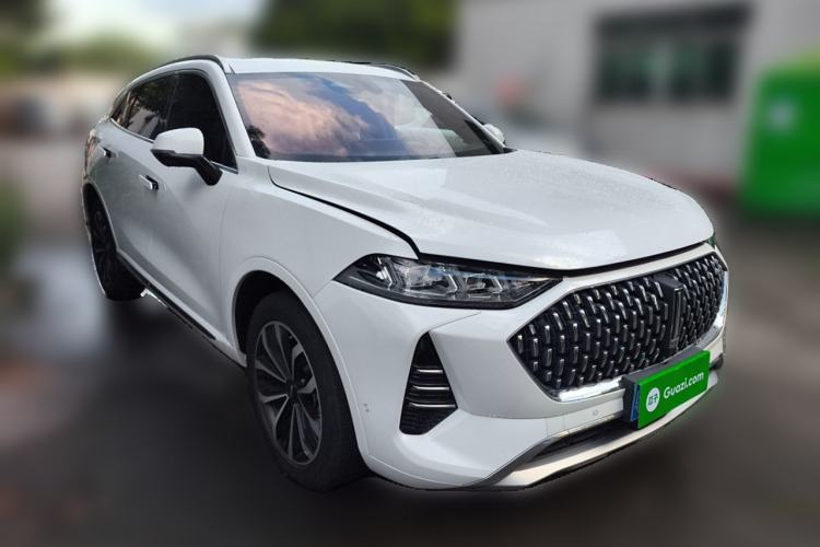 Used Wey Mocha 2021 2.0T Two-Wheel-Drive Premium Edition