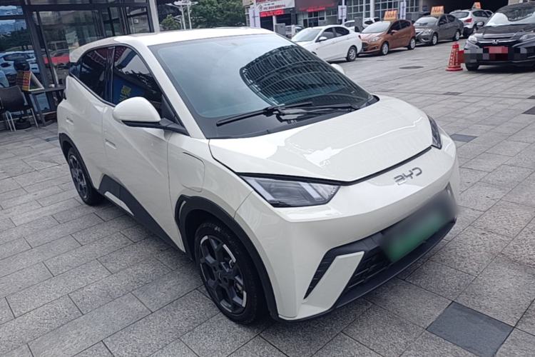 Used BYD Seagull 2024 Honor Edition 305km Freedom Version
