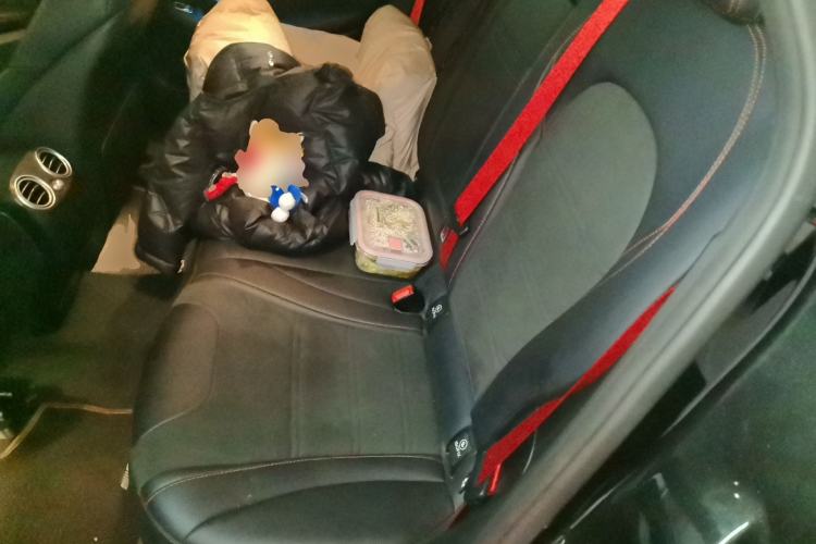 Used Mercedes-Benz GLC AMG 2017 AMG GLC 43 4MATIC Left Rear Seat