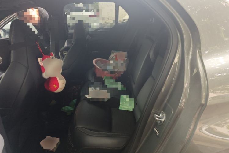 Used Lynk & Co 03 2022 1.5TD DCT JingPro
