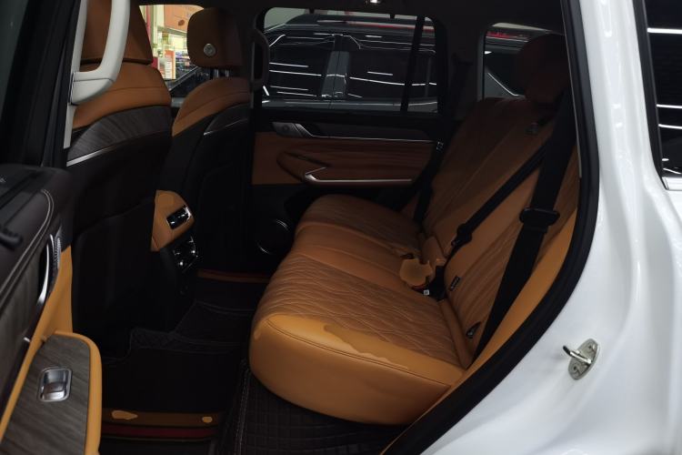 Used Tank 500 New Energy 2026 Model—Hi4-T Smart Enjoyment Version Left Rear Seat