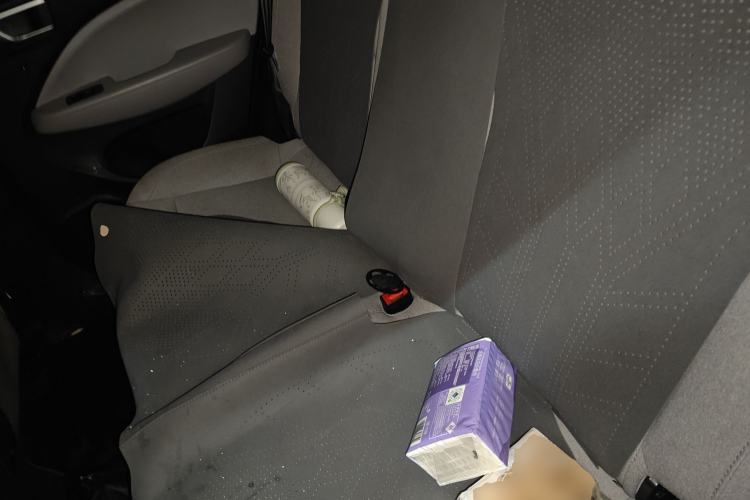 Used Leapmotor T03 2023 310 Lite Edition Left Rear Seat