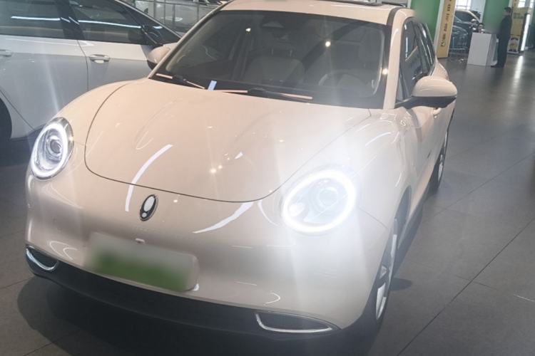 Used ORA Good Cat 2022 Morandi Edition 400km Standard Range Premium Version Lithium-Ion Battery