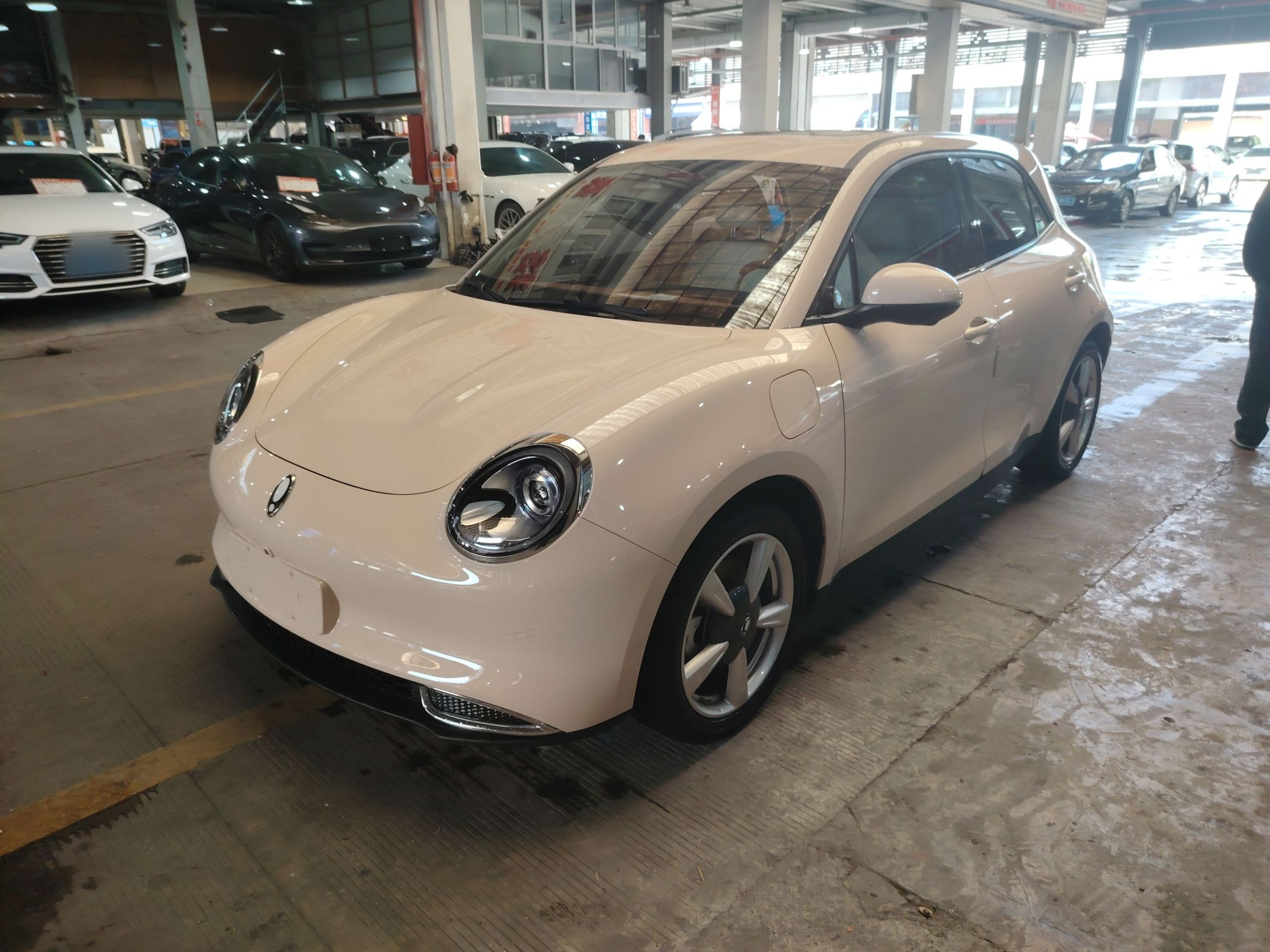 تحت مقدمة السيارة