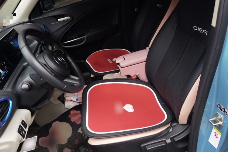 Used ORA White Cat 2020 305 km Luxury Version
