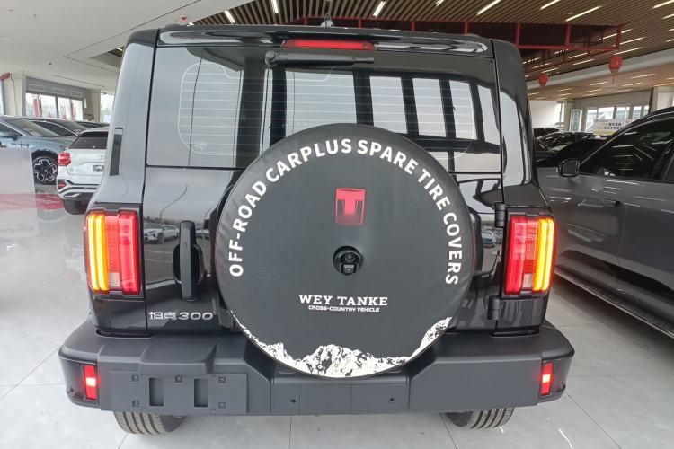 Used Tank 300 2025 2.4T Diesel Version