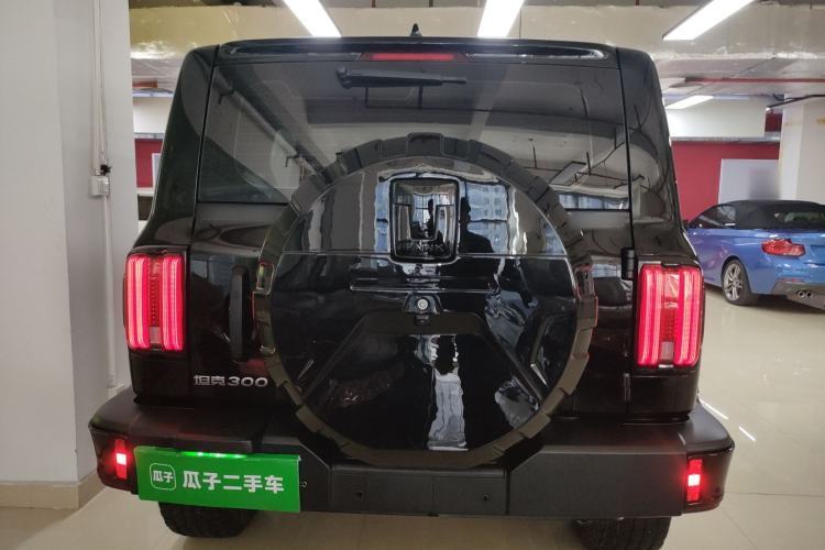 Used Tank 300 2024 2.0T Conqueror