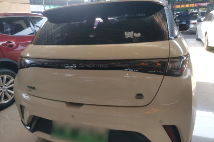 Used BYD Dolphin 2021 405 km Free Version