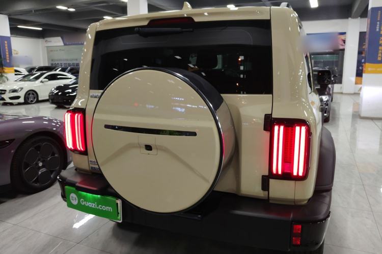 Used Tank 300 New Energy 2024 Hi4-T