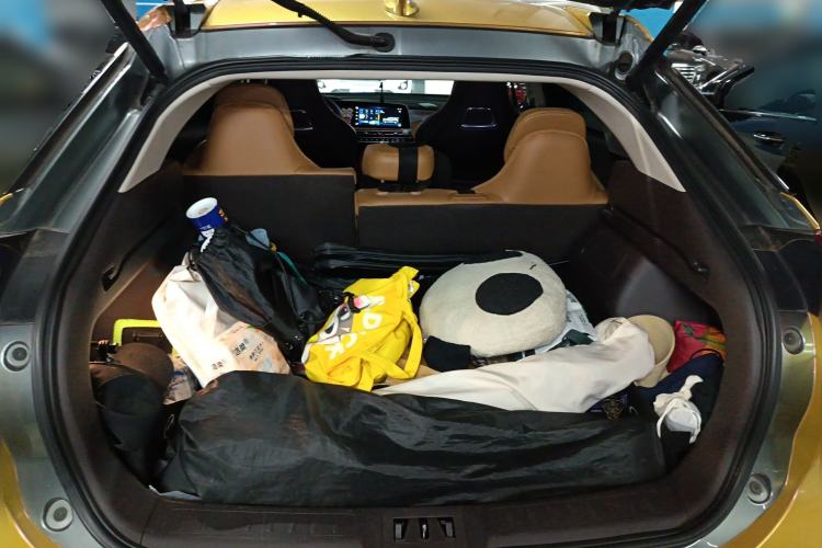 Used AION LX 2019 80D