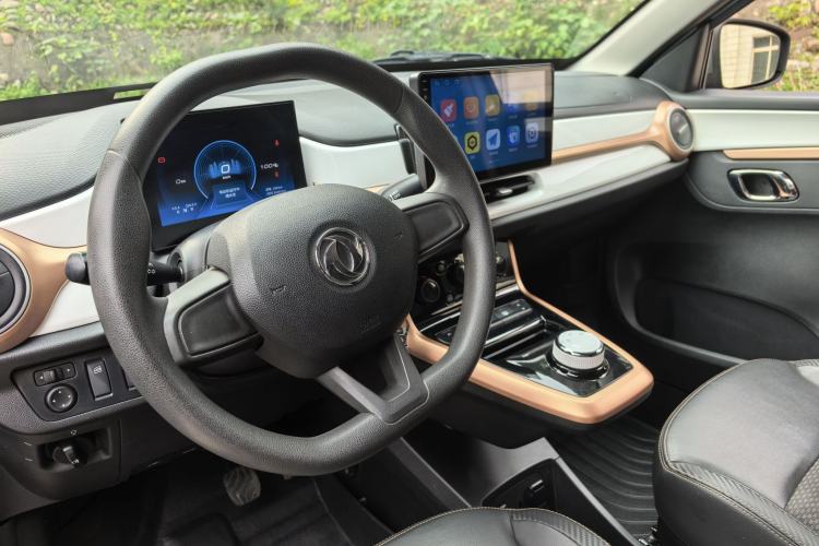 Used Dongfeng NAMMI EX1 2023 PRO Light Wind Edition Lightning Model
