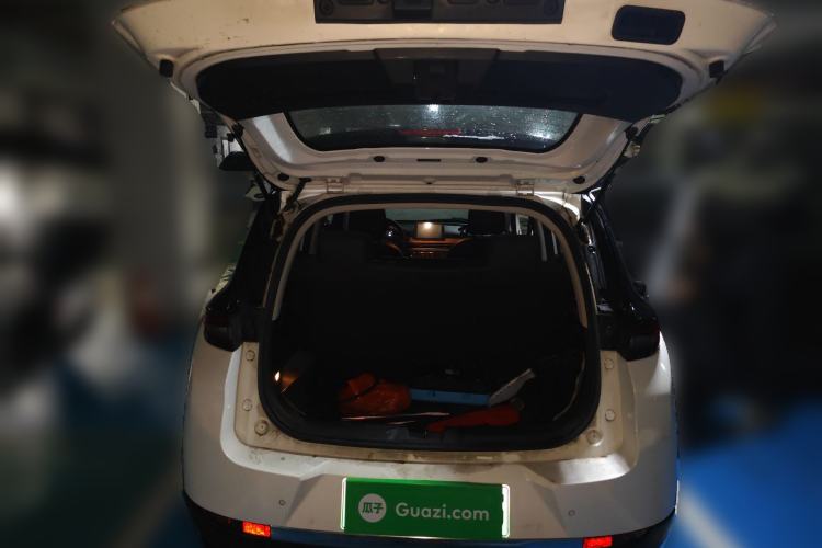 Used Dayun Yuehu 2021 32.85 kWh Two-Wheel-Drive Sprite Version Trunk