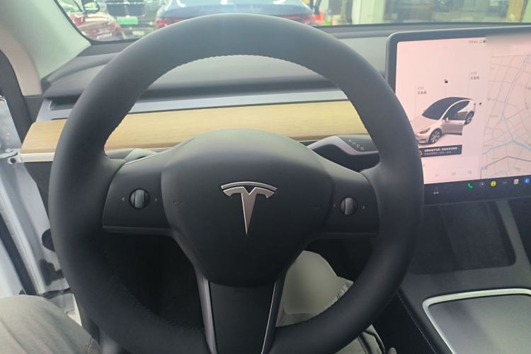 Used Tesla Model Y 2021 Standard Range Rear-Wheel Drive Version
