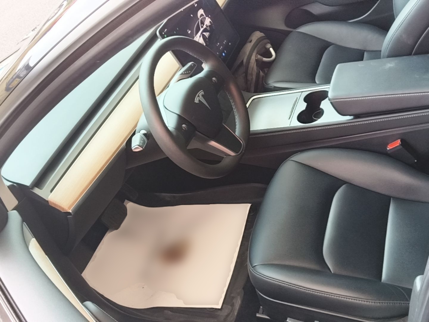 Interior delantero