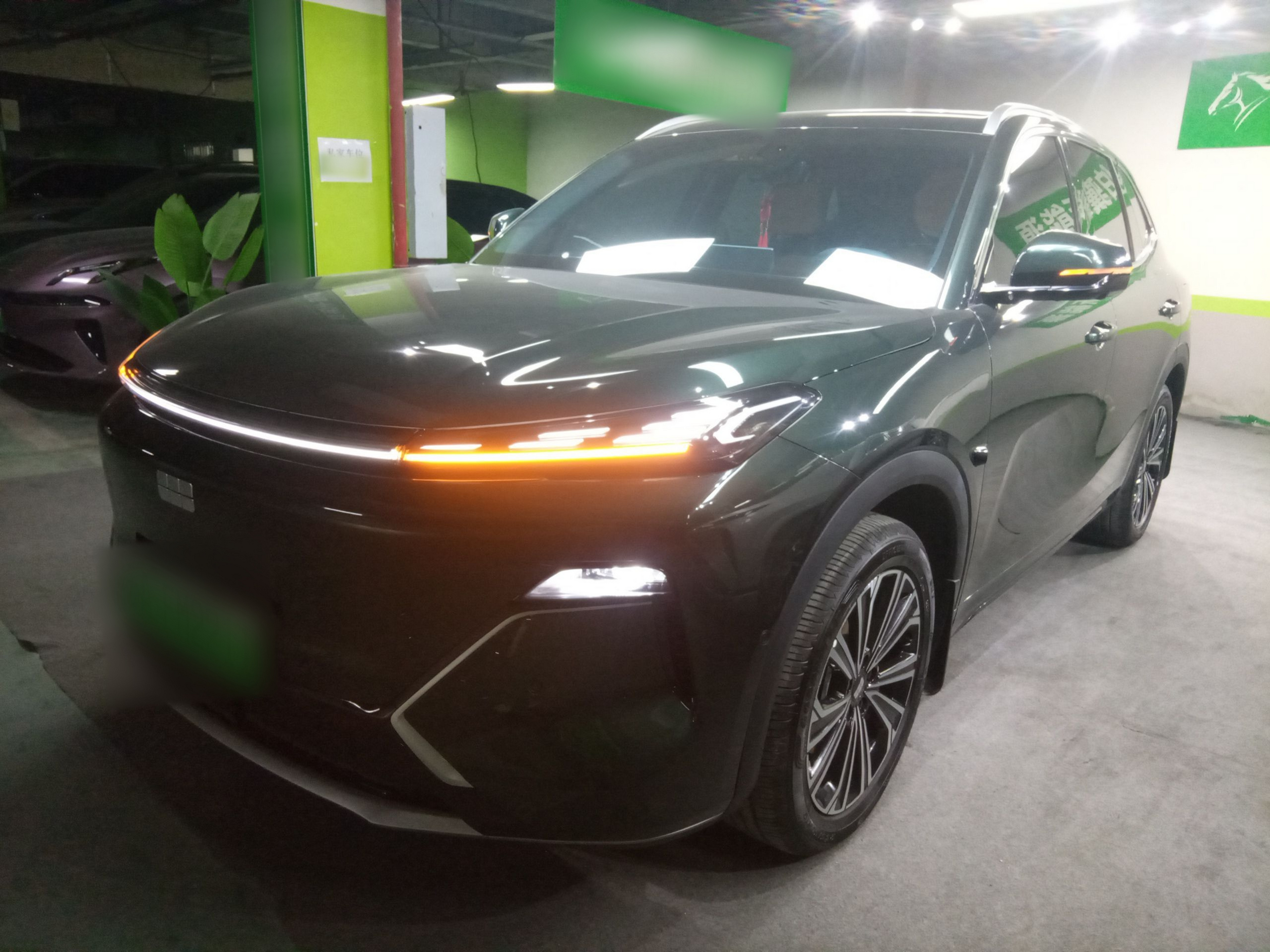 Parte inferior delantera